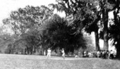 Baseball game at Live Oak Plantation - Leon County, Florida