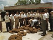 Scene from a sponge auction in Tarpon Springs, Florida.