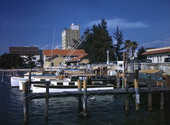 View showing charter boats docked at the municipal pier in Sarasota, Florida.