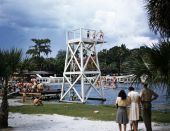 Visitors using the diving platform at the Silver Springs attraction in Ocala, Florida.