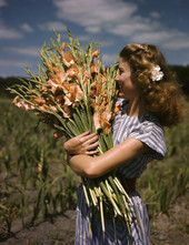 Woman holding a bundle of fresh picked gladiolus flowers at Terra Ceia Island, Florida.
