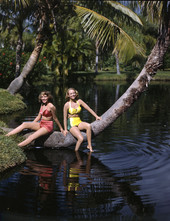 Nora Carrol, left, and Joe's daughter Lois Duncan Steinmetz sitting on a palm tree at Sarasota Jungle Gardens.