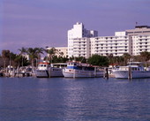 Charter boats docked at Marina Plaza in Sarasota, Florida.