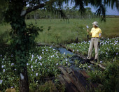 Photographer Joe Steinmetz looking at water hyacinths from a canal along the Tamiami Trail in the Everglades.