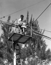 Karl Wallenda, of the Flying Wallendas daredevil circus act, starting his 5-year-old daughter Carla across a twenty-foot-high wire during a practice session in Sarasota, Florida.