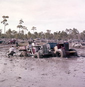View of buggies at the inaugural Swamp Buggy Jubilee held at the fairgrounds in Sarasota, Florida.