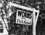"Worms with fish appeal" sign in Tampa, Florida.