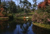 Scenic view at the Cypress Gardens theme park in Winter Haven, Florida.