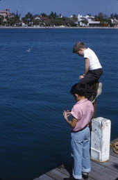View showing boys at a city dock in Sarasota, Florida.