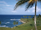 Scenic view in Nassau, Bahamas.