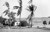 View showing boathouse at the Cabbage Key Inn & Studio.