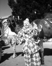 Ringling Circus clown Charlie Bell and his pet fox terrier with a camel.