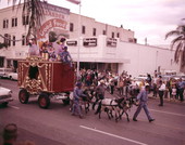View showing a circus wagon in a parade on Main St. in Sarasota, Florida.
