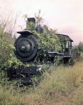Lee Tidewater Cypress Company #16 at Copeland, Florida.