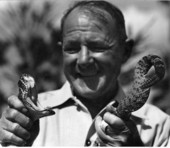 Texas Jim Mitchell holding a rattlesnake in Sarasota, Florida.