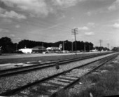 View of railroad track - Bushnell, Florida