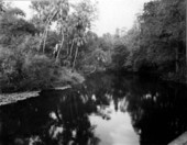 Hillsborough River - Hillsborough, Florida.