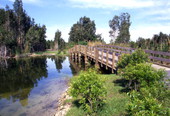 Footbridge at Lakes Regional Park in Lee County.