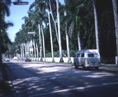 McGregor Boulevard lined with palm trees in Ft. Myers.