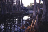Carraway Fish Camp on Lake Lochloosa in Alachua County.