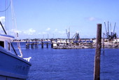 Close-up view of shrimp boats docked at the fishing village of Mayport.