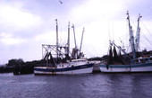 Close-up view of shrimp fleet docked at the fishing village of Mayport.
