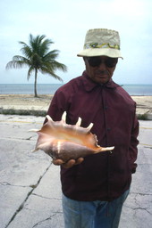 Vendor holding up one of his conch shells in Key West.