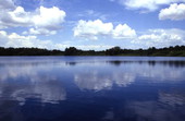 Coast viewed from Lake Rachard at Lake Placid.