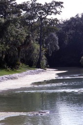 Scenic view of Lithia Springs at the park in Hillsborough County.
