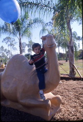 Boy sitting on camel sculpture at the Miami Metrozoo.