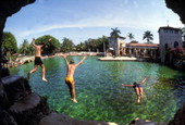 Young people diving into the Venetian Pool in Coral Gables.