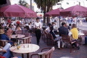 Outdoor dining area at Cafe Sci Sci in Miami.