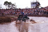 "Horny Toad" at Swamp Buggy Day in Naples.