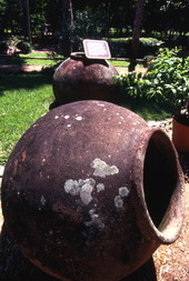 Large clay jars at the Fountain of Youth Archeological Park in St. Augustine.