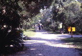 Garden path at the Fountain of Youth Archeological Park in St. Augustine.