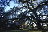 Kinhega Lodge in Tallahassee.