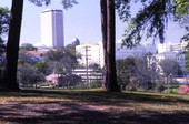 Tallahassee urban landscape with the state Capitol.