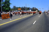 Shanks High marching band in the Springtime Tallahassee parade on Monroe St.