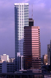 Skyscrapers in downtown Tampa.