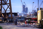 Cranes at the Port Tampa waterfront.