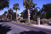 Palm-lined neighborhood along Spring Blvd. in Tarpon Springs.