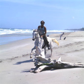 View showing horseback rider at the Frederick Douglas Memorial Park beach in Fort Pierce, Florida.