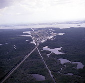 Aerial view of Everglades City, Florida.