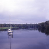Boat traveling on the scenic St. Johns River at Sanford, Florida.