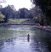 View showing visitors at the Wekiwa Springs State Park near Apopka, Florida.