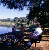 Children with their mother feeding pigeons and ducks in Maitland, Florida.