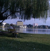 View looking toward the Lakeland skyline across Lake Morton.