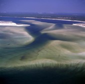 Aerial view looking toward the coast at Crooked Island, Florida.