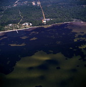Aerial view overlooking part of the coast at Pensacola, Florida.