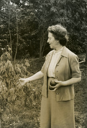 Koreshan Unity president Hedwig Michel with Cashew Nut apples in Estero, Florida.